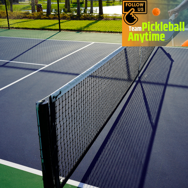 Pickleball Court & Net