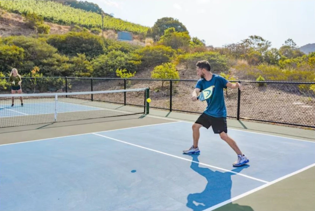 Pickleball single player